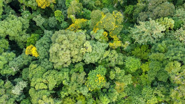 Disparités Salariales dans le Secteur Public : Analyse des Écarts Remarquables